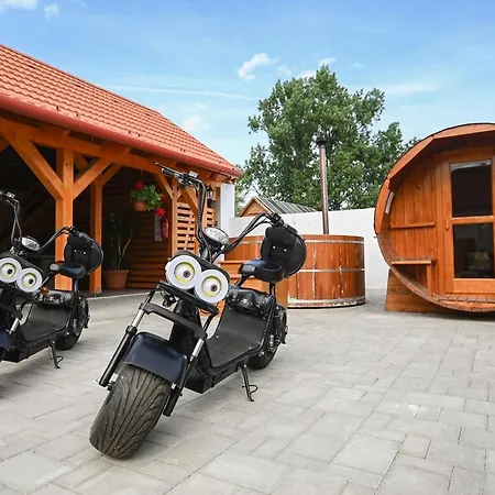 Pensiune Nana's Vendeghaz